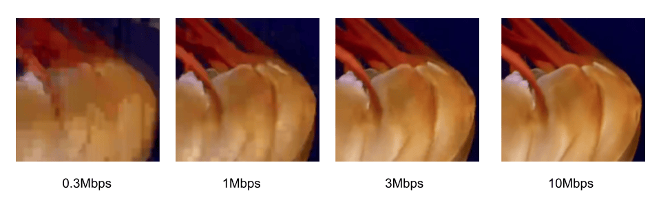 Bitrate ladder
